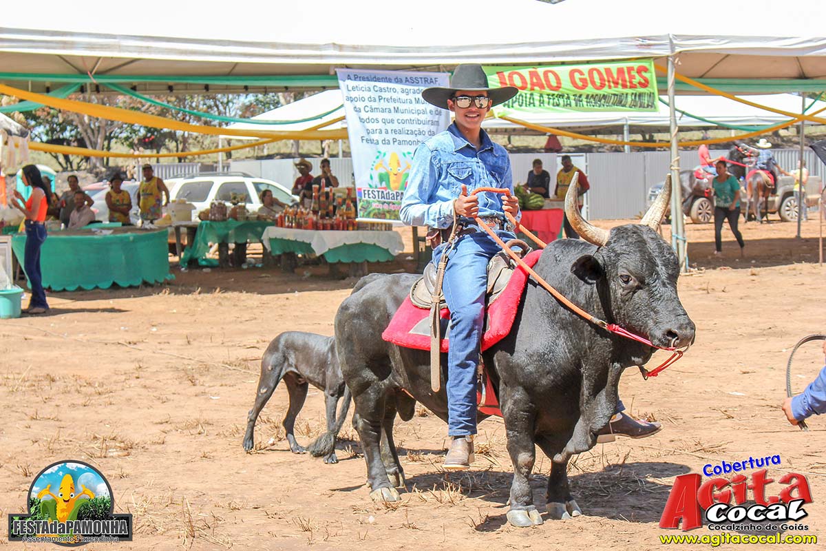 Festa da Pamonha (3 Dia)